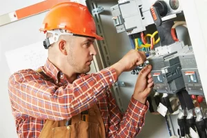 Professional Electrician